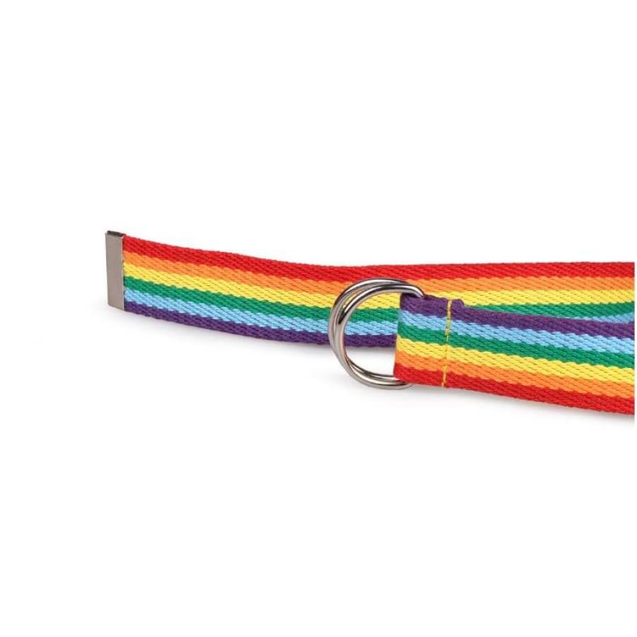 Pride Rainbow Belt - LGBTQ+ Merch | Pride Merch merch  thepridecolors