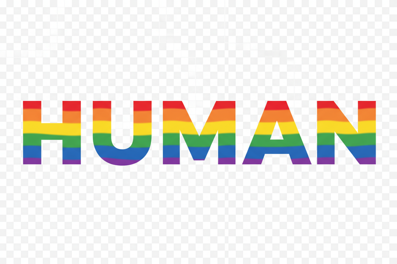 Generate me a HUMAN written in PRIDE COlors with no background