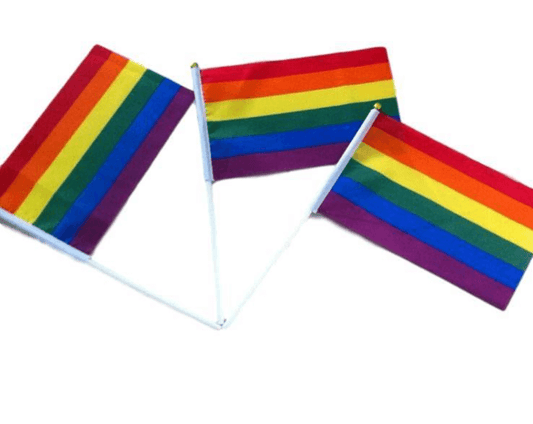 10 Gay Pride 14x21cm Mini Flags merch Flags thepridecolors
