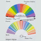 Hand Held Rainbow Folding Fan - Pride Merch chinese, fan, hand, held, merch, pride, rainbow  thepridecolors
