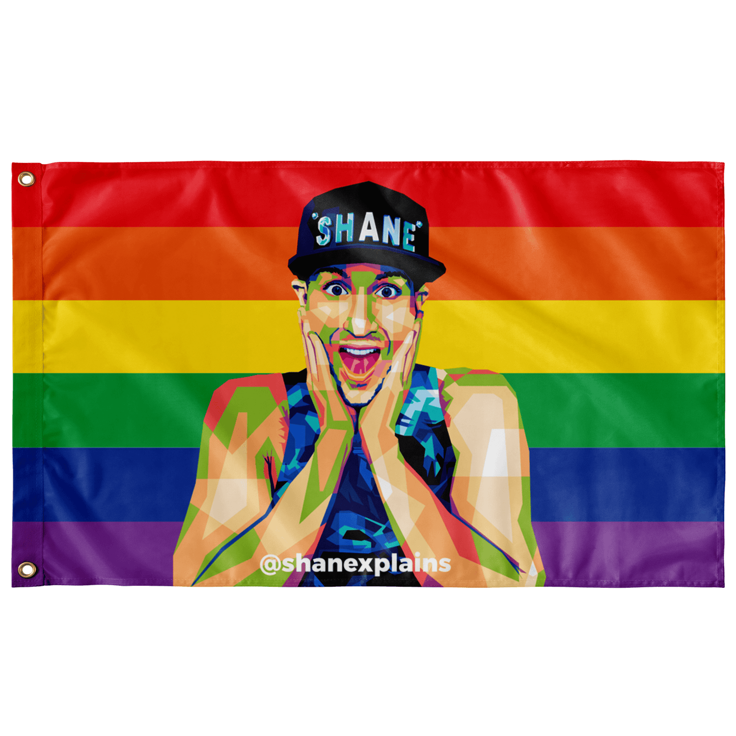 Shane Donovan - shanexplains Pride Flag Hidden recommendation, merch Flags thepridecolors