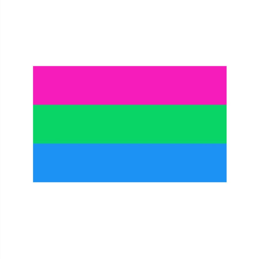 Polysexual Pride Flag - LGBT+ Merch |  3X5 ft flag, flags, free, Hidden recommendation, merch, poly, polysexual, sexual standard pride flags thepridecolors