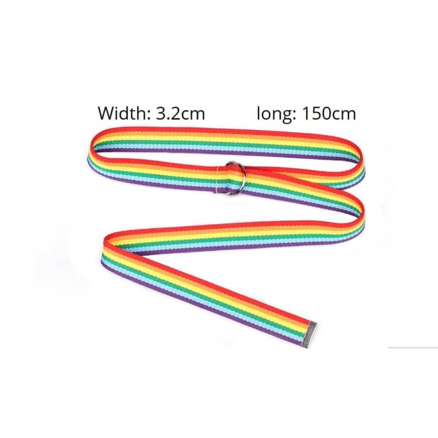 Pride Rainbow Belt - LGBTQ+ Merch | Pride Merch merch  thepridecolors